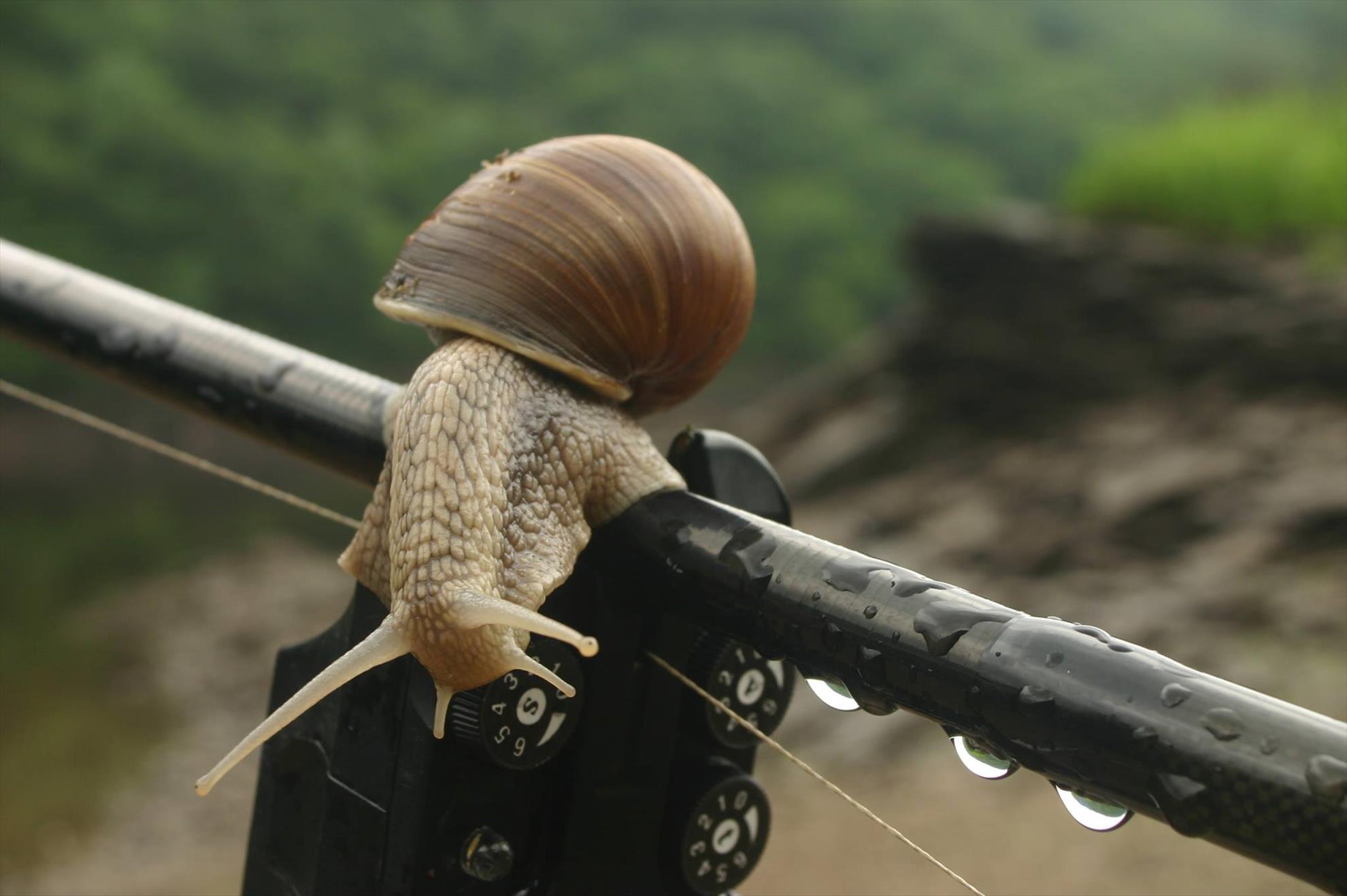 Fishing 4 - 1276983473588279405989315111552o.jpg